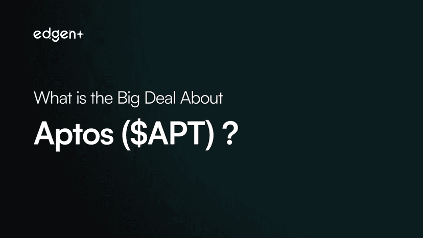Aptos ($APT) 为什么这么火？